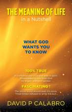 The Meaning of Life in a Nutshell: What God Wants You to Know