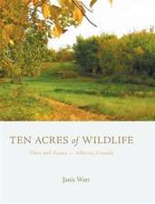 Ten Acres of Wildlife