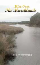 Mist Over the Marshlands