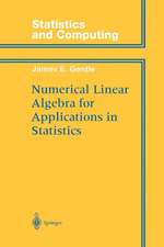 Numerical Linear Algebra for Applications in Statistics