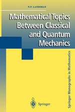 Mathematical Topics Between Classical and Quantum Mechanics