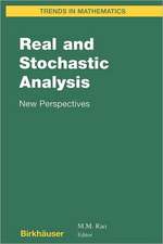 Real and Stochastic Analysis: New Perspectives