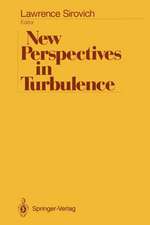 New Perspectives in Turbulence