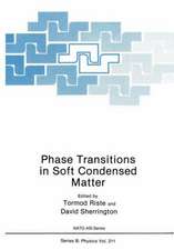 Phase Transitions in Soft Condensed Matter