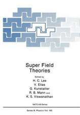 Super Field Theories