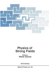 Physics of Strong Fields