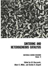 Sintering and Heterogeneous Catalysis