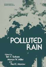 Polluted Rain