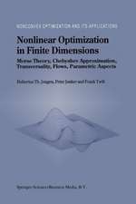 Nonlinear Optimization in Finite Dimensions: Morse Theory, Chebyshev Approximation, Transversality, Flows, Parametric Aspects