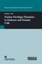 Nuclear Envelope Dynamics in Embryos and Somatic Cells