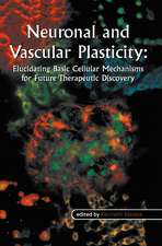 Neuronal and Vascular Plasticity: Elucidating Basic Cellular Mechanisms for Future Therapeutic Discovery