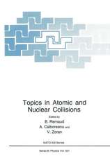 Topics in Atomic and Nuclear Collisions