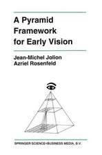 A Pyramid Framework for Early Vision: Multiresolutional Computer Vision