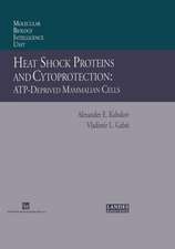 Heat Shock Proteins and Cytoprotection: Atp-Deprived Mammalian Cells