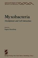 Myxobacteria