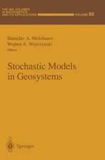 Stochastic Models in Geosystems