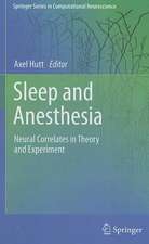 Sleep and Anesthesia: Neural Correlates in Theory and Experiment