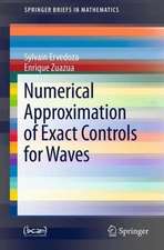 Numerical Approximation of Exact Controls for Waves