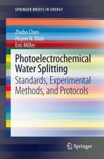 Photoelectrochemical Water Splitting: Standards, Experimental Methods, and Protocols