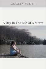 A Day in the Life of a Storm