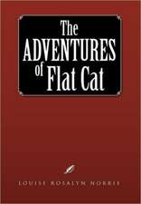 The Adventures of Flat Cat