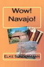 Wow! Navajo!: Introductory Statistics for the 21st Century Student