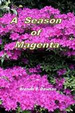 A Season of Magenta