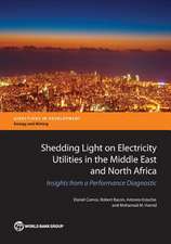 Shedding Light on Electricity Utilities in the Middle East and North Africa