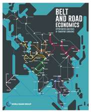 Belt and Road Economics