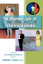 The Charmed Life of Noodlehead