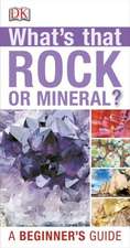 What's That Rock or Mineral?