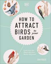 How to Attract Birds to Your Garden: Foods They Like, Plants They Love, Shelter They Need