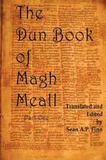 The Dun Book of Magh Meall