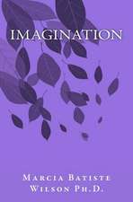 Imagination