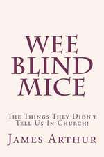 Wee Blind Mice