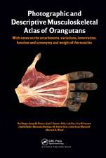 Photographic and Descriptive Musculoskeletal Atlas of Orangutans: with notes on the attachments, variations, innervations, function and synonymy and weight of the muscles