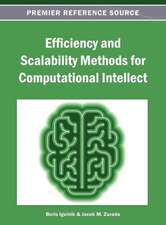 Efficiency and Scalability Methods for Computational Intellect