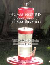 Hummingbird, Hummingbird