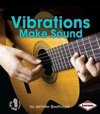 Vibrations Make Sound