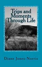 Trips and Moments Through Life