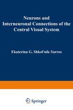 Neurons and Interneuronal Connections of the Central Visual System