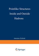 Pointlike Structures Inside and Outside Hadrons