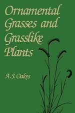 Ornamental Grasses and Grasslike Plants