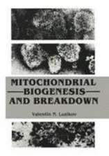 Mitochondrial Biogenesis and Breakdown