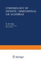 Cohomology of Infinite-Dimensional Lie Algebras