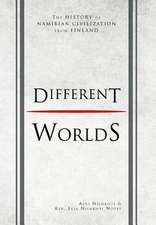 Niinkoti, A: Different Worlds