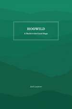Hogwild