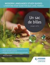 Modern Languages Study Guides: Un sac de billes