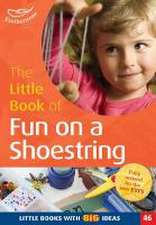 Massey, E: Little Book of Fun on a Shoestring