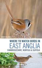 Where to Watch Birds in East Anglia: Cambridgeshire, Norfolk and Suffolk